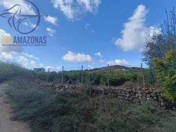Terreno para Venda em Silves
