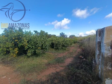 Terreno para Venda em Silves