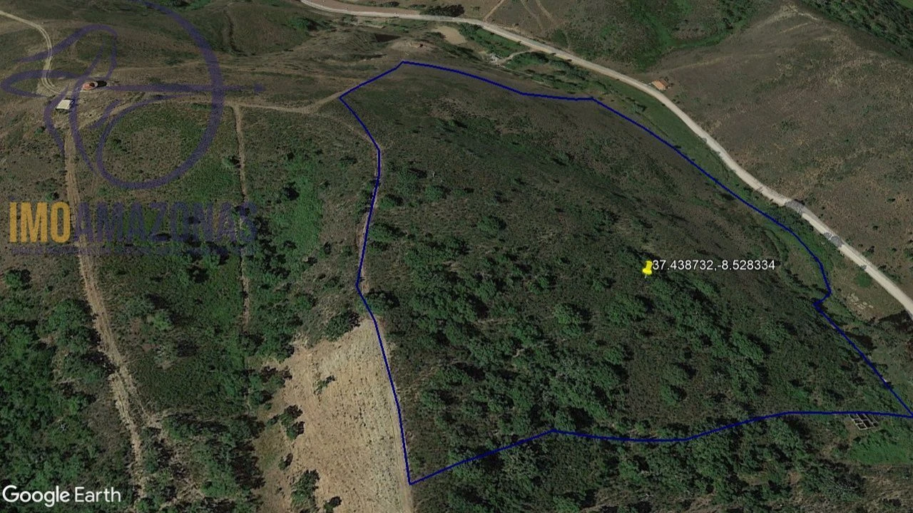 Terreno para Venda em Saboia Foto 9