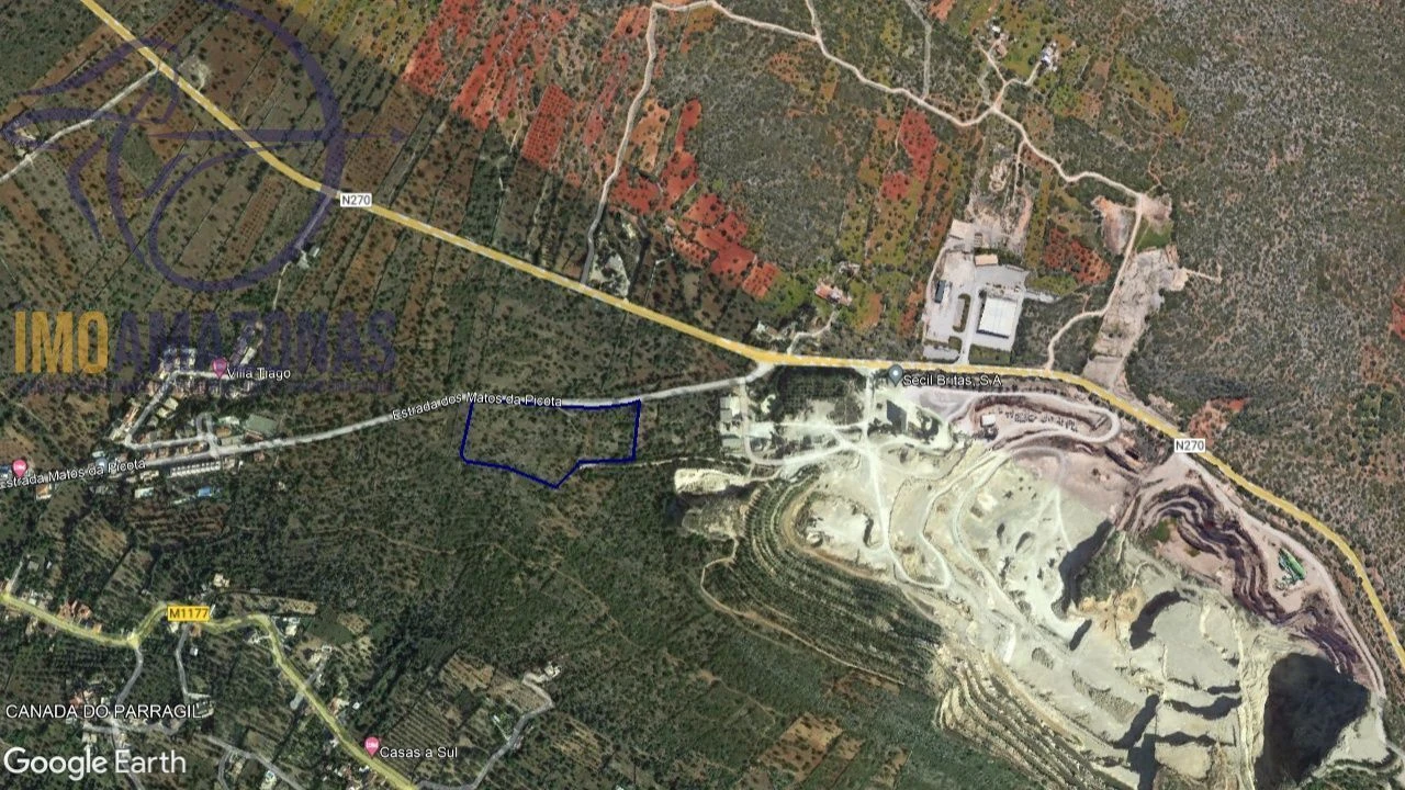 Terreno para Venda em Loule (São Sebastião) Foto 3