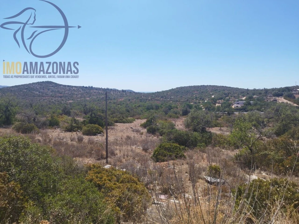 Terreno para Venda em Loule (São Sebastião) Foto 6