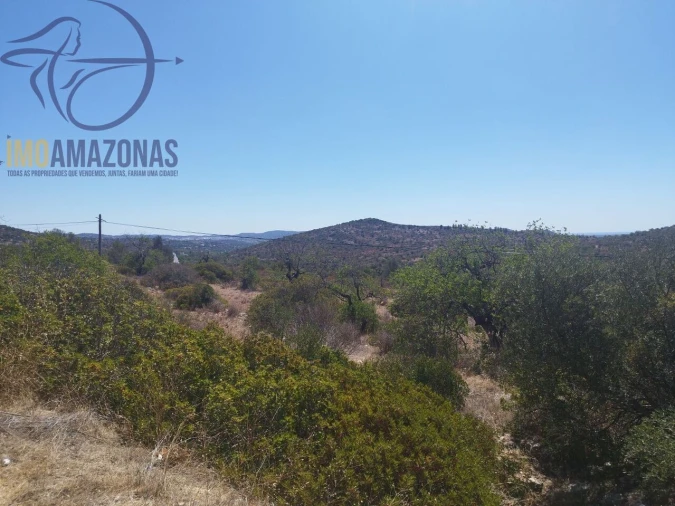 Terreno para Venda em Loule (São Sebastião) Foto 5