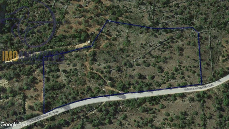 Terreno para Venda em Loule (São Sebastião) Foto 2