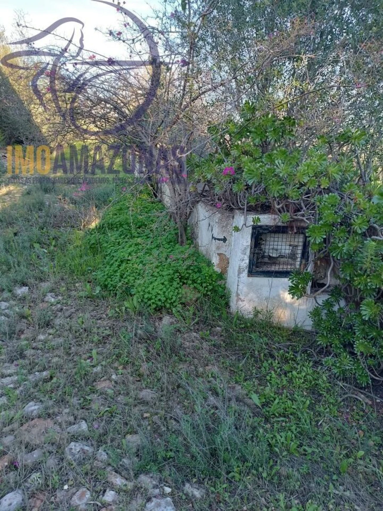 Moradia T2 para Venda em Silves Foto 29