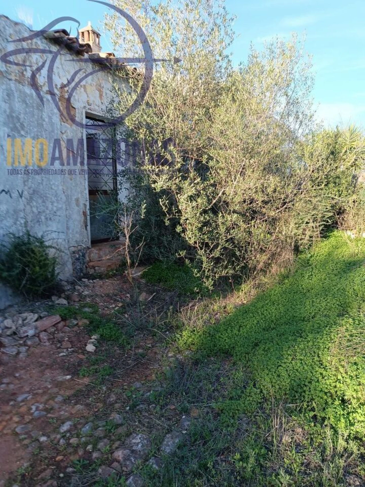 Moradia T2 para Venda em Silves Foto 31