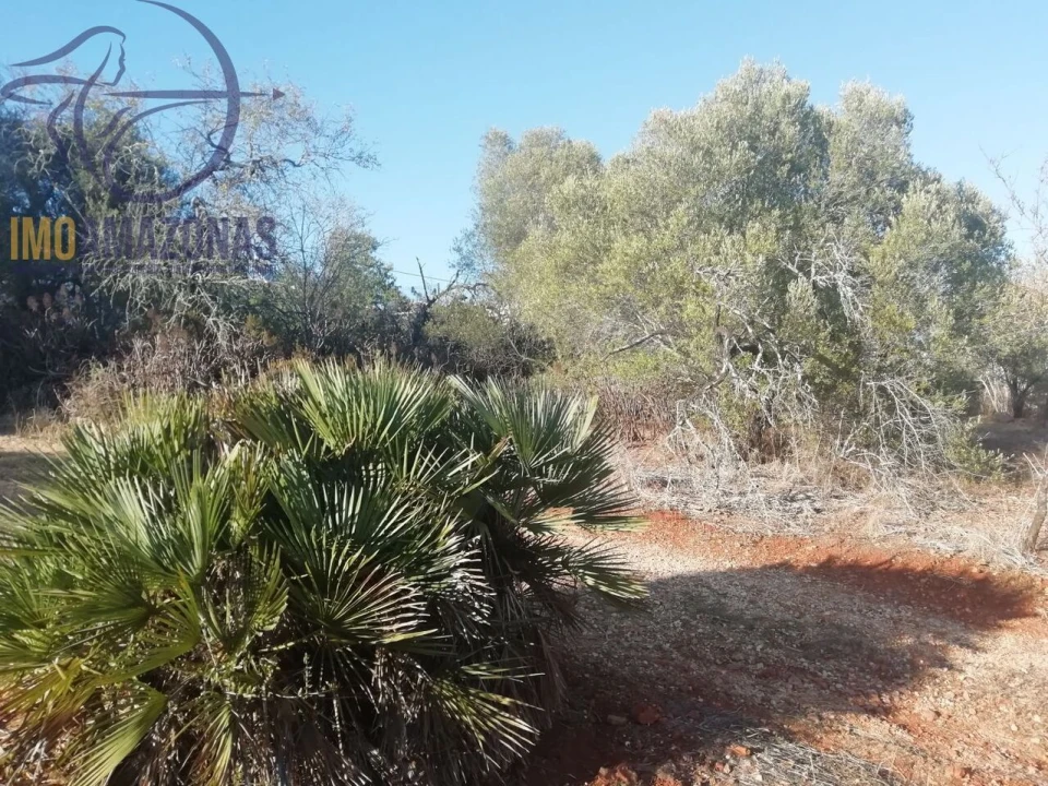 Moradia T2 para Venda em Silves Foto 16