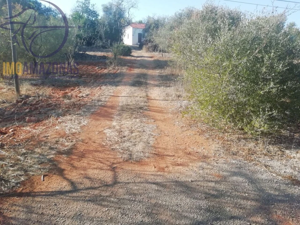 Moradia T2 para Venda em Silves Foto 9