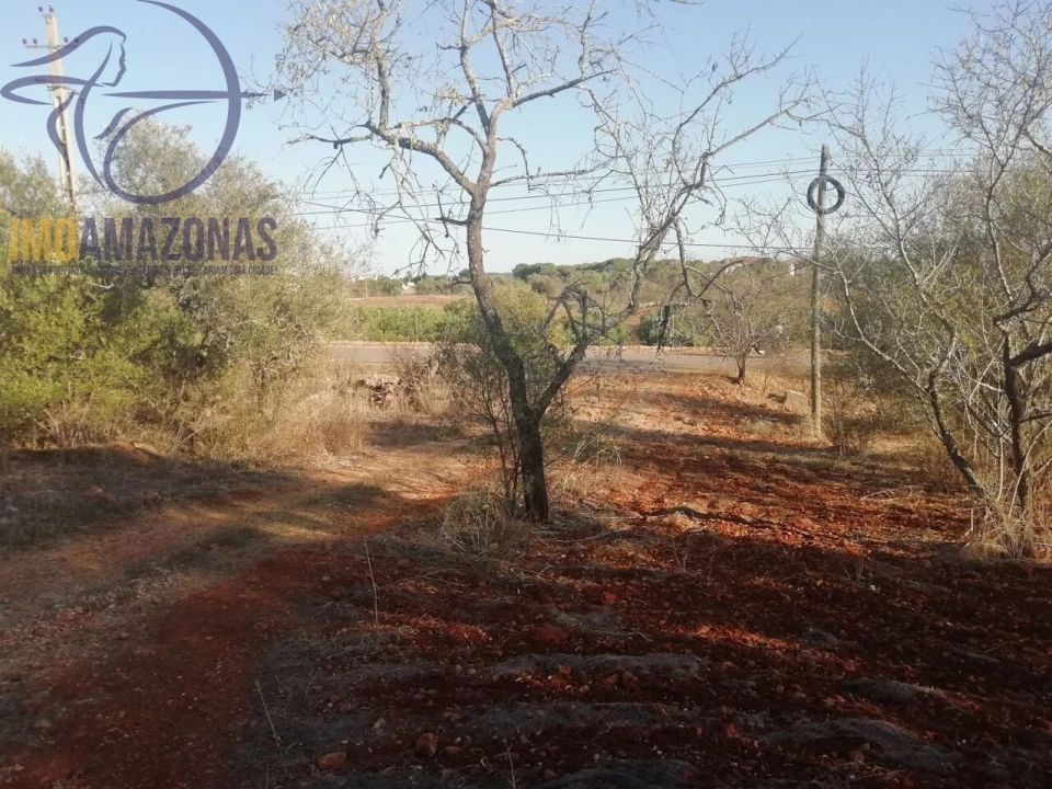 Moradia T2 para Venda em Silves Foto 18