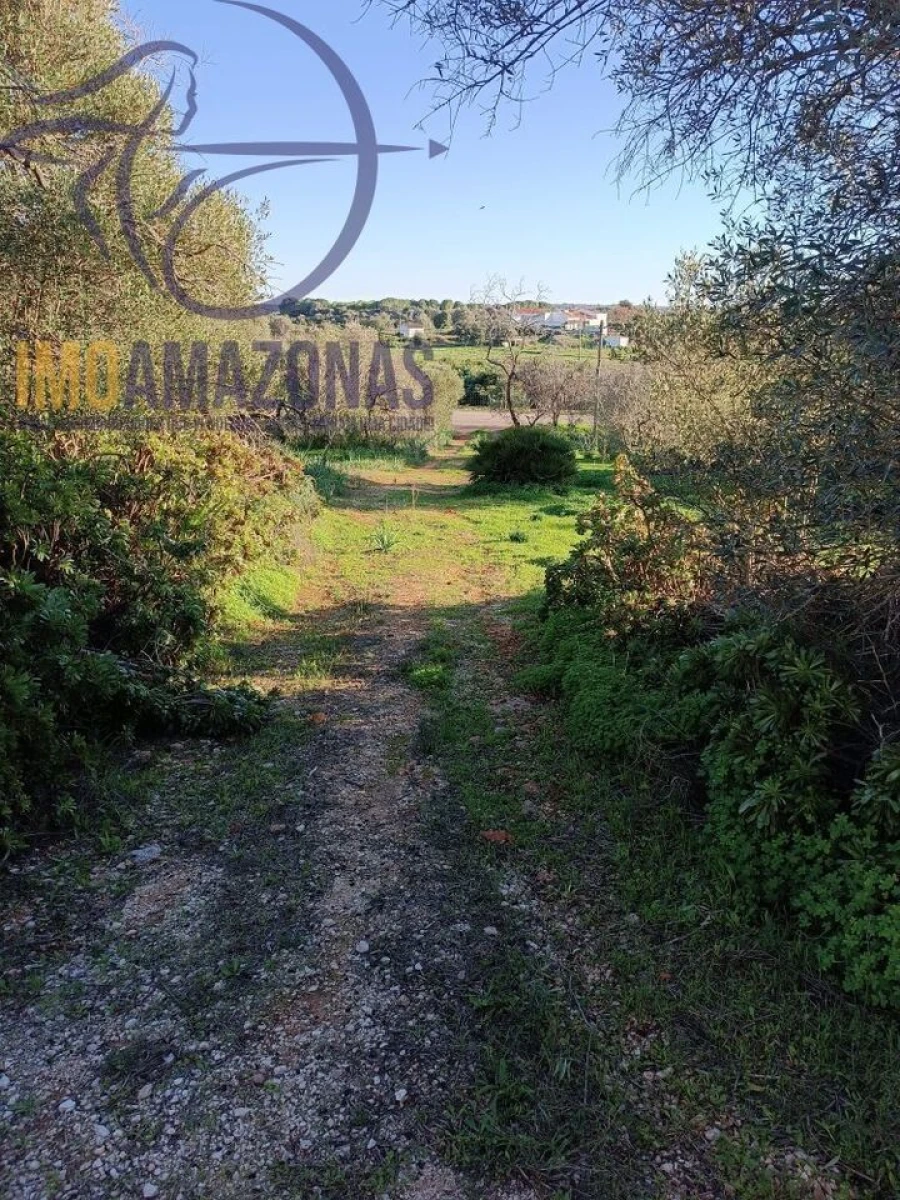 Moradia T2 para Venda em Silves Foto 32