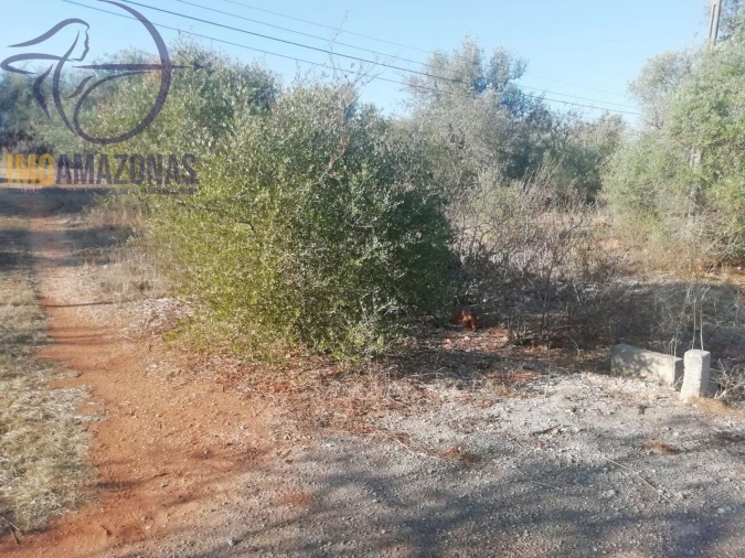 Moradia T2 para Venda em Silves Foto 8