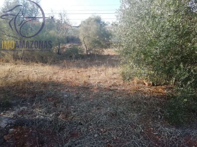 Moradia T2 para Venda em Silves Foto 10