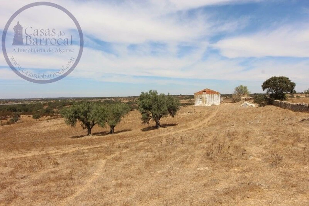 Terreno para Venda em Aldeia dos Fernandes Foto 11