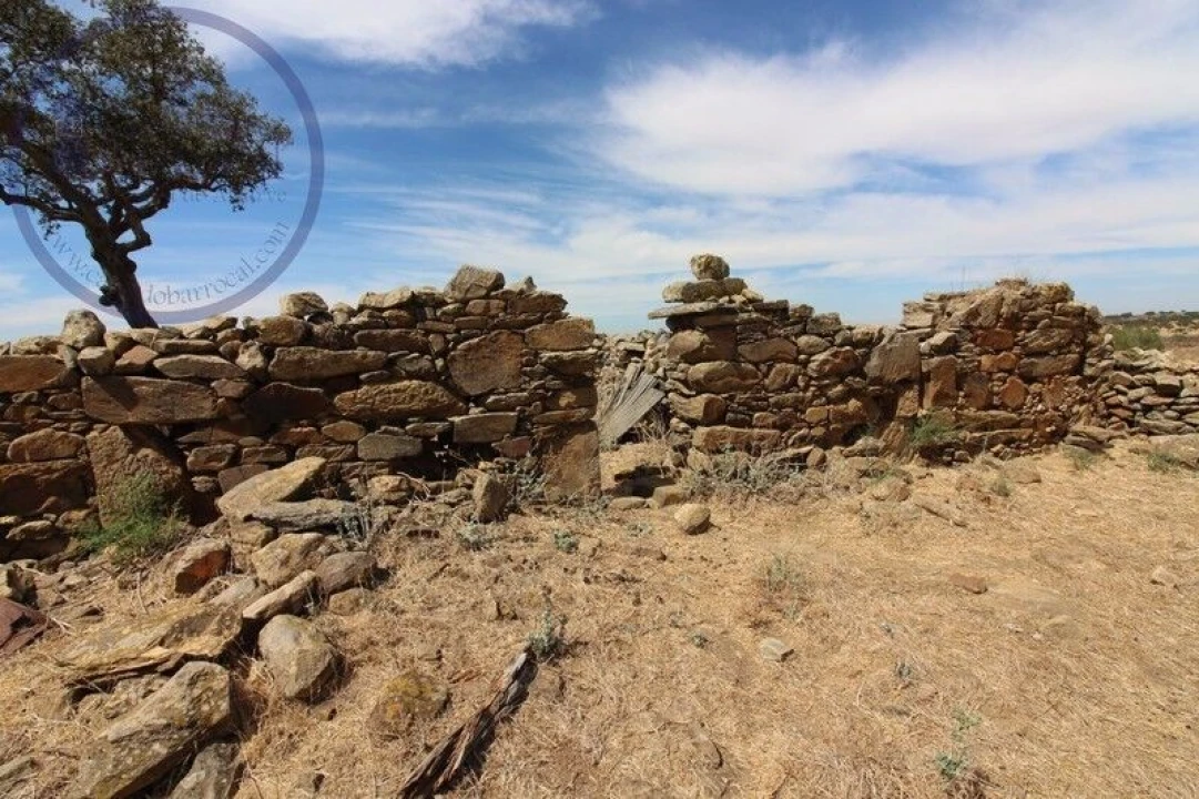 Terreno para Venda em Aldeia dos Fernandes Foto 10