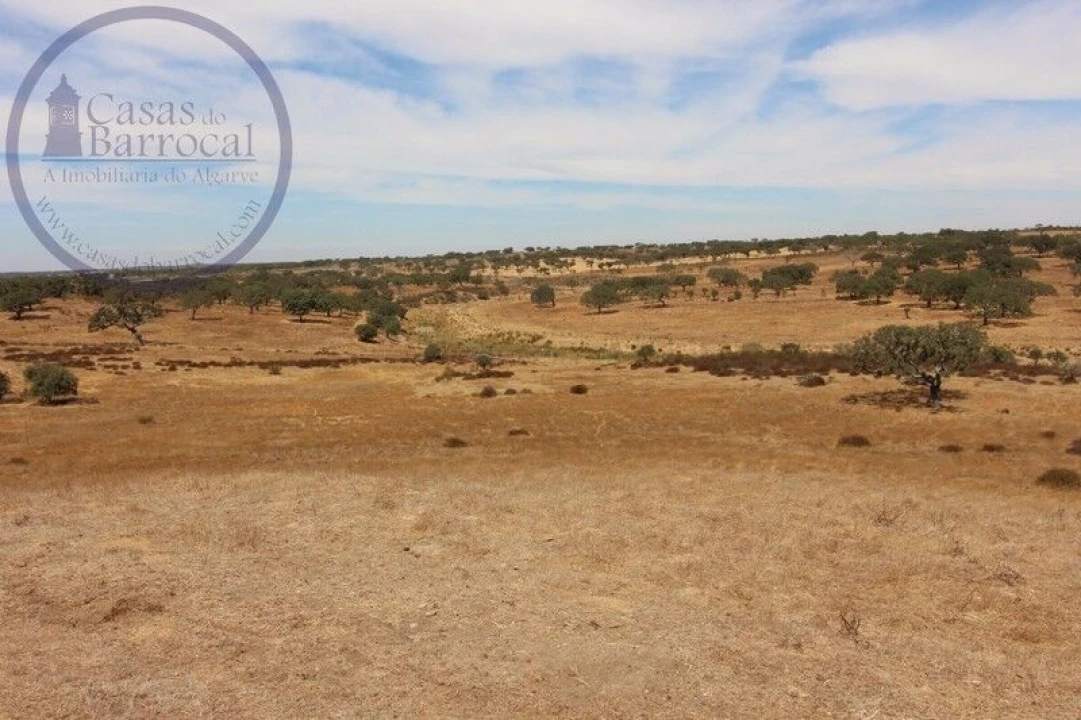 Terreno para Venda em Aldeia dos Fernandes Foto 15