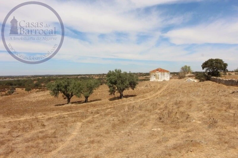 Terreno para Venda em Aldeia dos Fernandes Foto 11