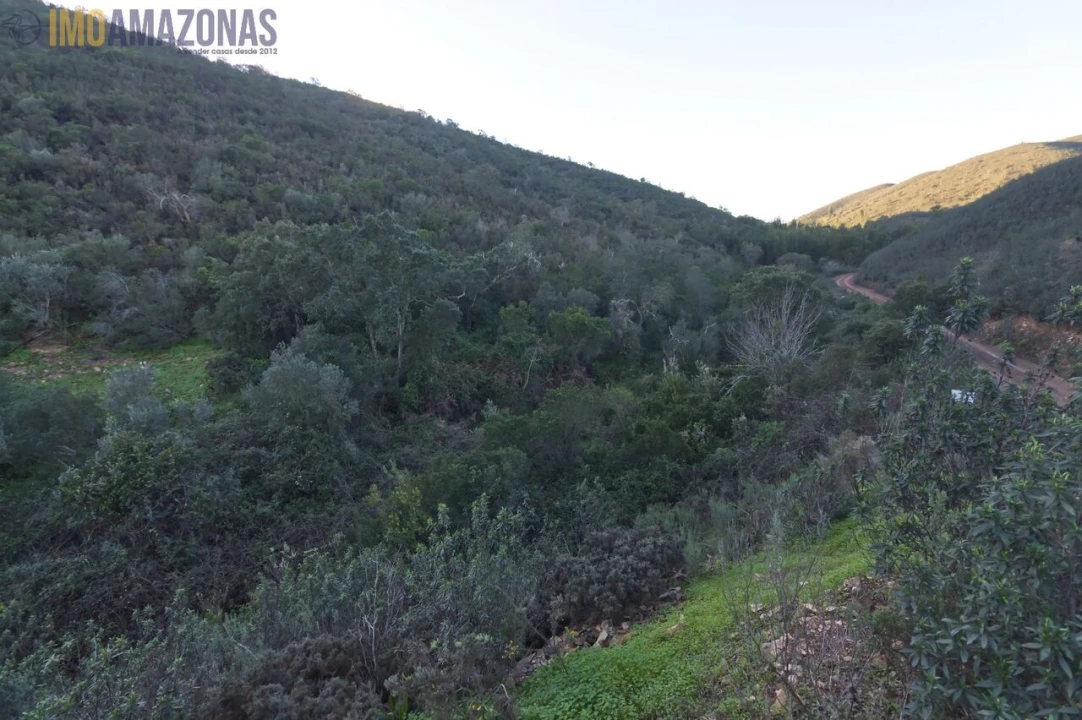 Terreno para Venda em São Bartolomeu de Messines Foto 2