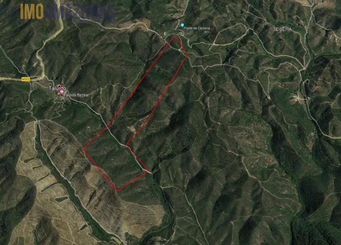 Terreno para Venda em São Bartolomeu de Messines