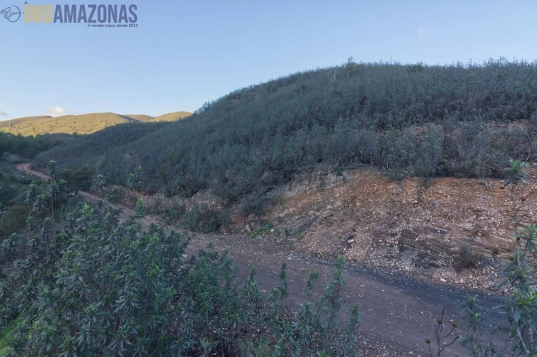 Terreno para Venda em São Bartolomeu de Messines Foto 4