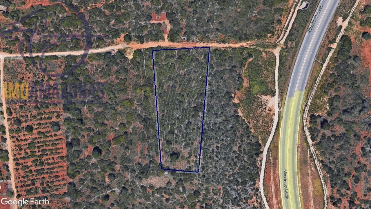 Terreno para Venda em Loule (São Sebastião) Foto 1
