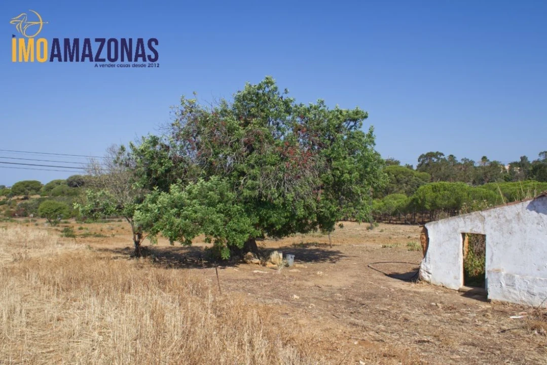 Quinta T0 para Venda em Lagoa e Carvoeiro Foto 5