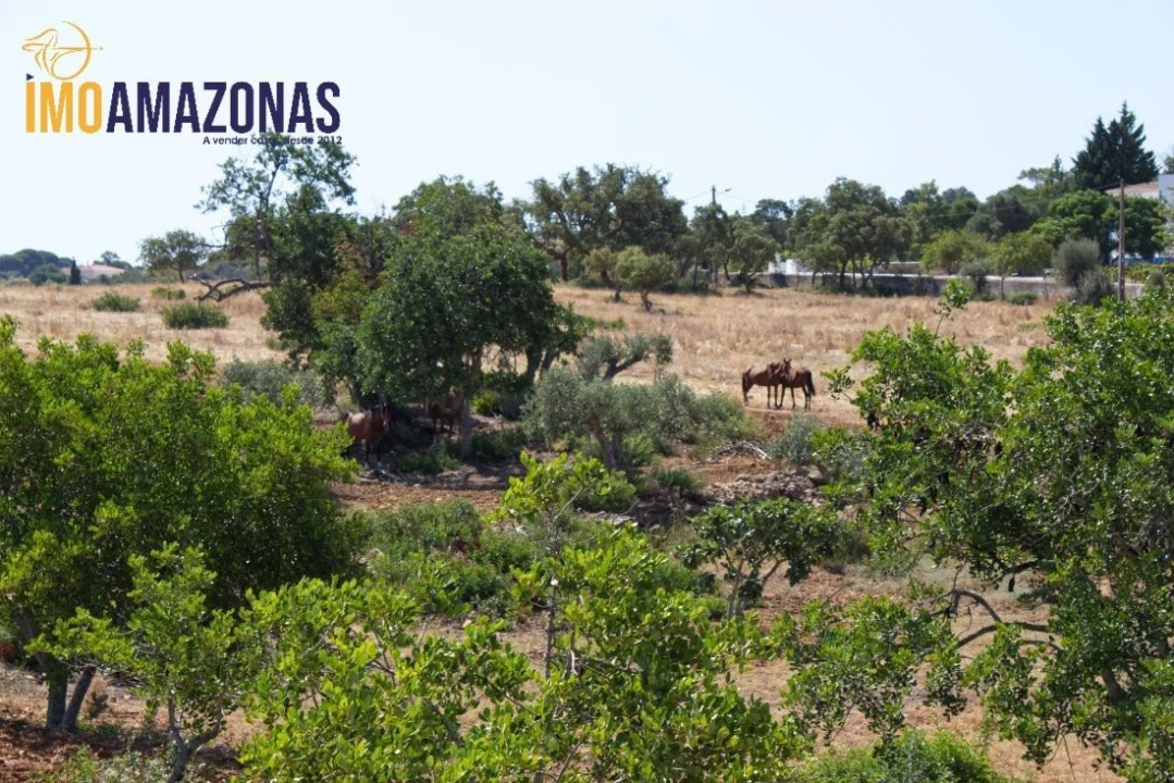 Quinta T0 para Venda em Lagoa e Carvoeiro Foto 8