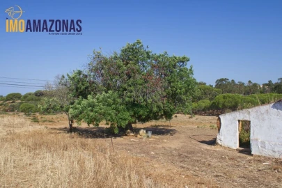 Quinta T0 para Venda em Lagoa e Carvoeiro