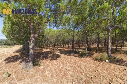 Quinta T0 para Venda em Lagoa e Carvoeiro