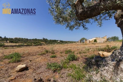Terreno para Venda em Lagoa e Carvoeiro
