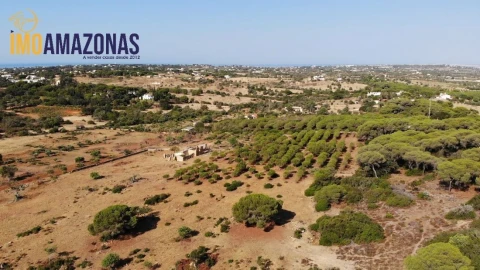 Terreno para Venda em Lagoa e Carvoeiro