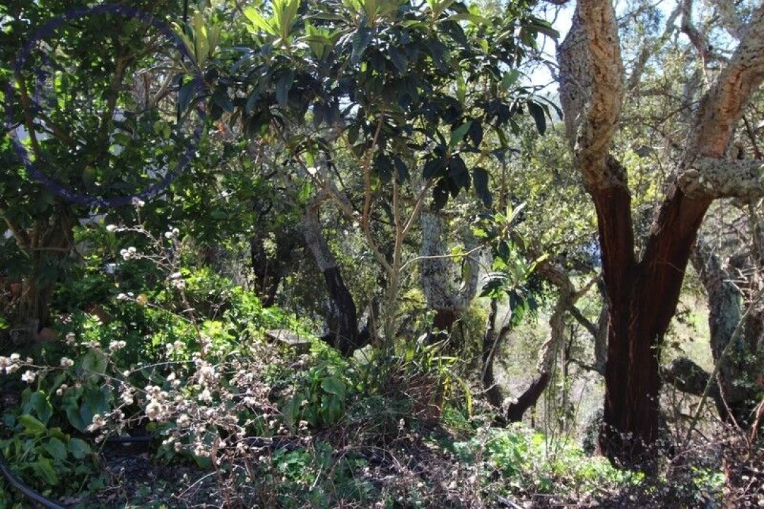 Moradia T2 para Venda em Monchique Foto 20