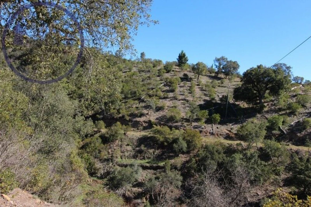 Moradia T2 para Venda em Monchique Foto 22