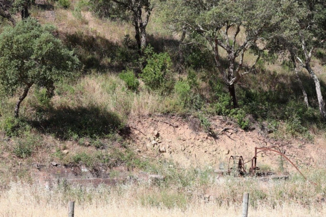 Terreno para Venda em São Bartolomeu de Messines Foto 12