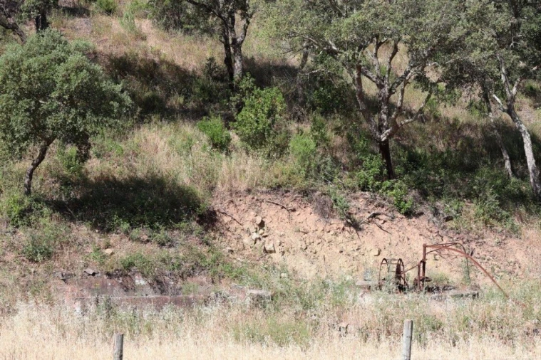 Terreno para Venda em São Bartolomeu de Messines Foto 12