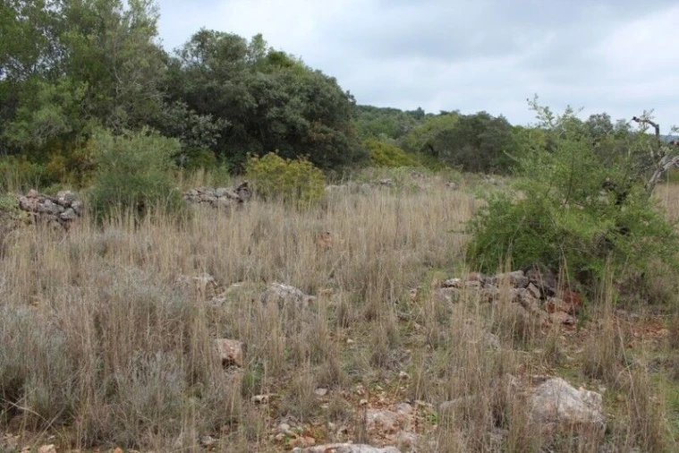 Terreno para Venda em Alte Foto 4