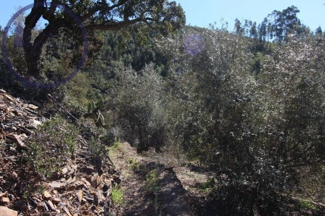 Moradia T2 para Venda em Monchique Foto 12