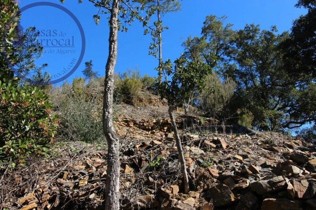 Moradia T2 para Venda em Monchique Foto 11