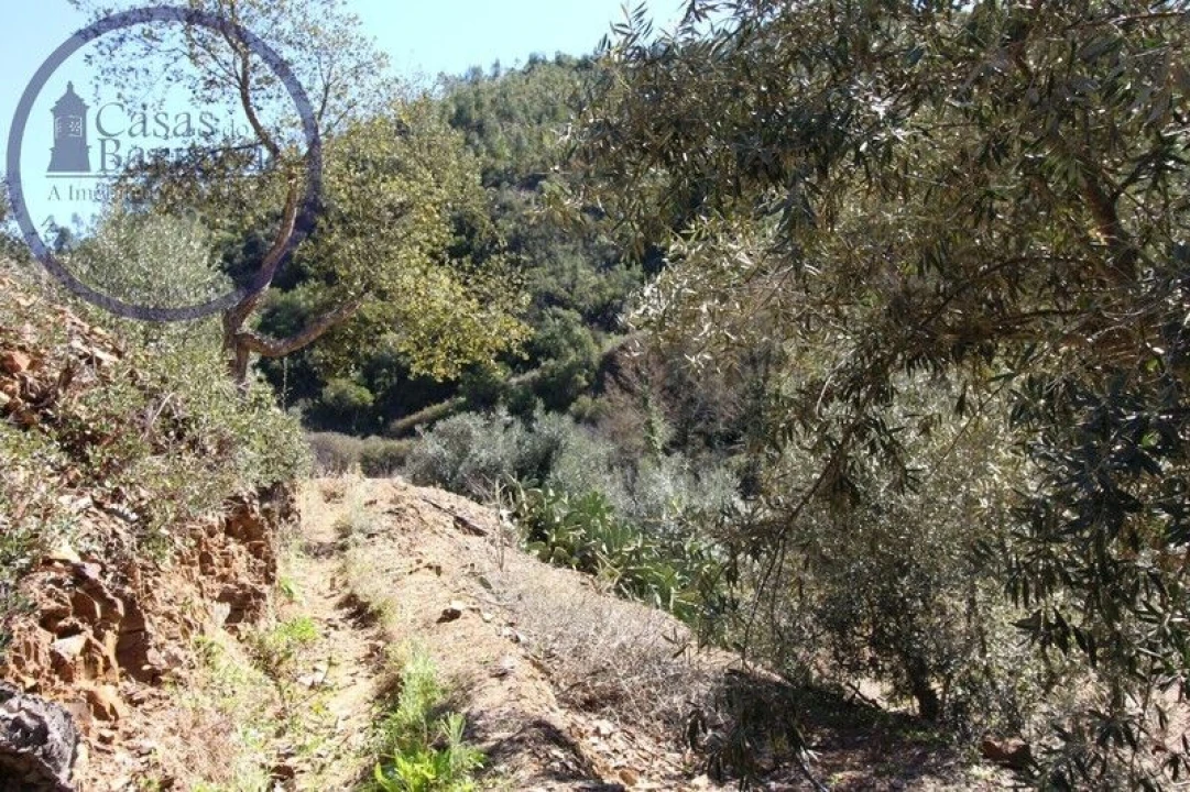 Moradia T2 para Venda em Monchique Foto 10