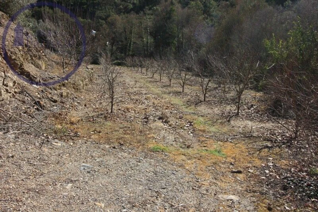 Moradia T2 para Venda em Monchique Foto 15