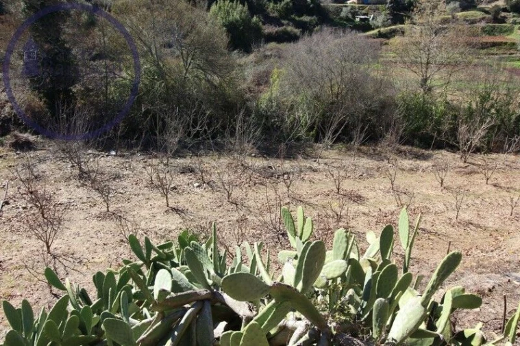 Moradia T2 para Venda em Monchique Foto 7