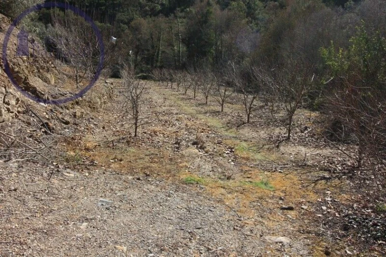 Moradia T2 para Venda em Monchique Foto 15