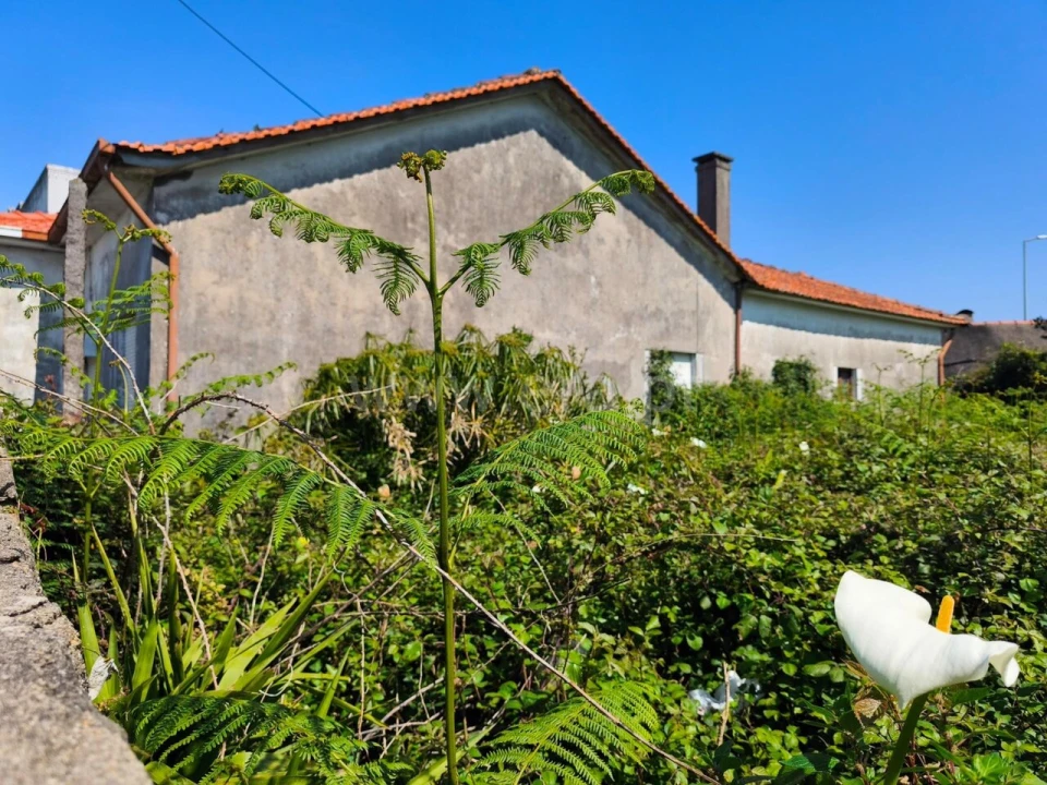 Moradia T2 para Venda em Avintes Foto 7