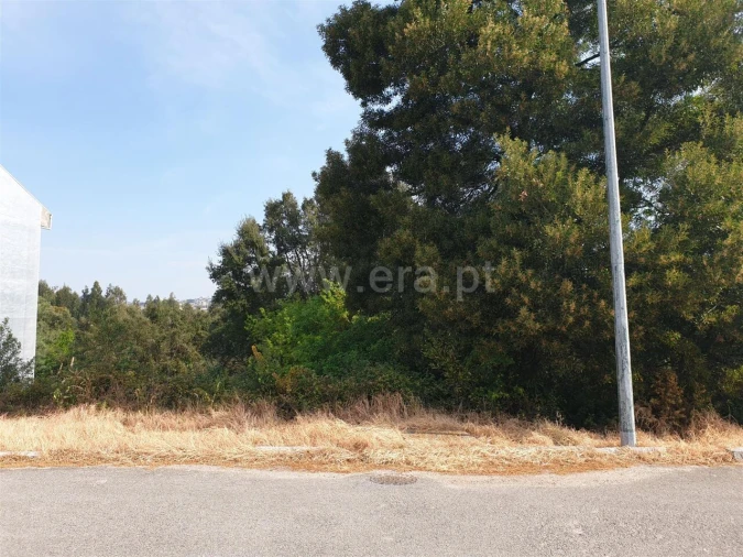 Terreno para Venda em Avintes Foto 6