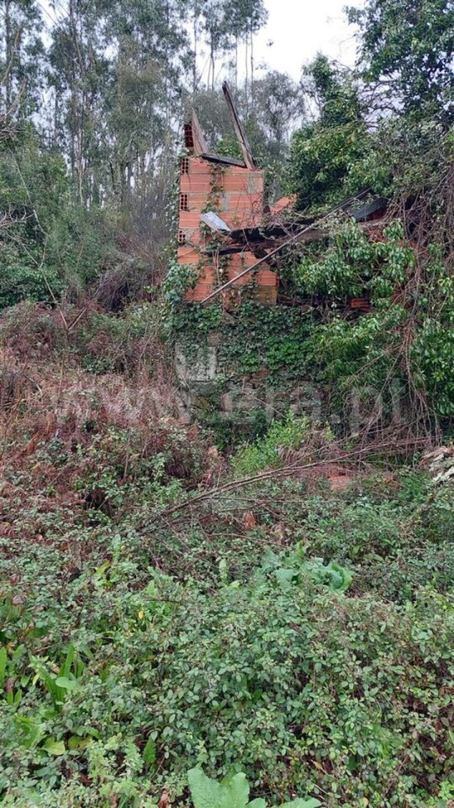 Terreno para Venda em Melres e Medas Foto 3