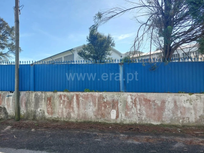 Armazém para Venda em Santa Maria de Lamas Foto 4