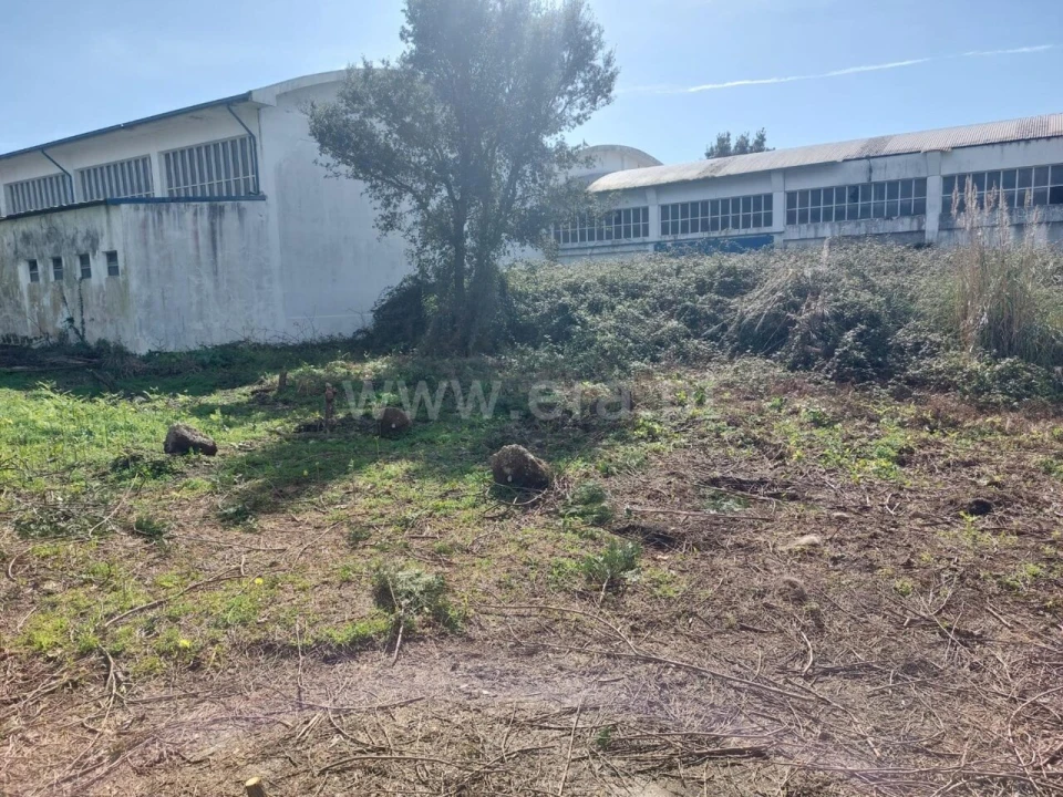 Armazém para Venda em Santa Maria de Lamas Foto 3
