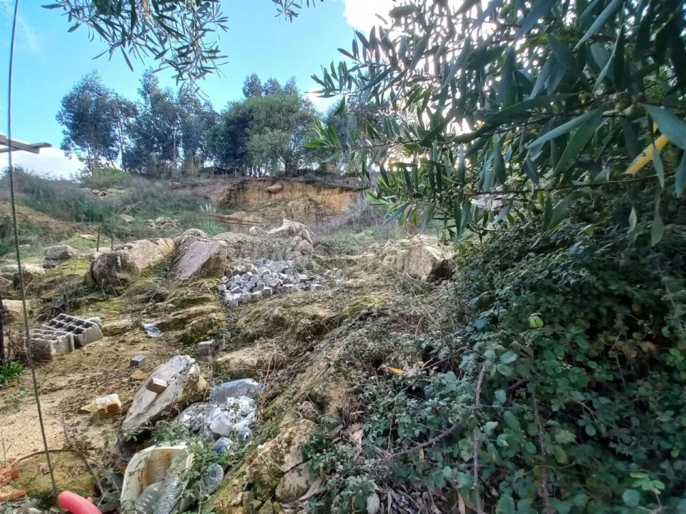 Terreno para Venda em Oliveira do Douro Foto 3
