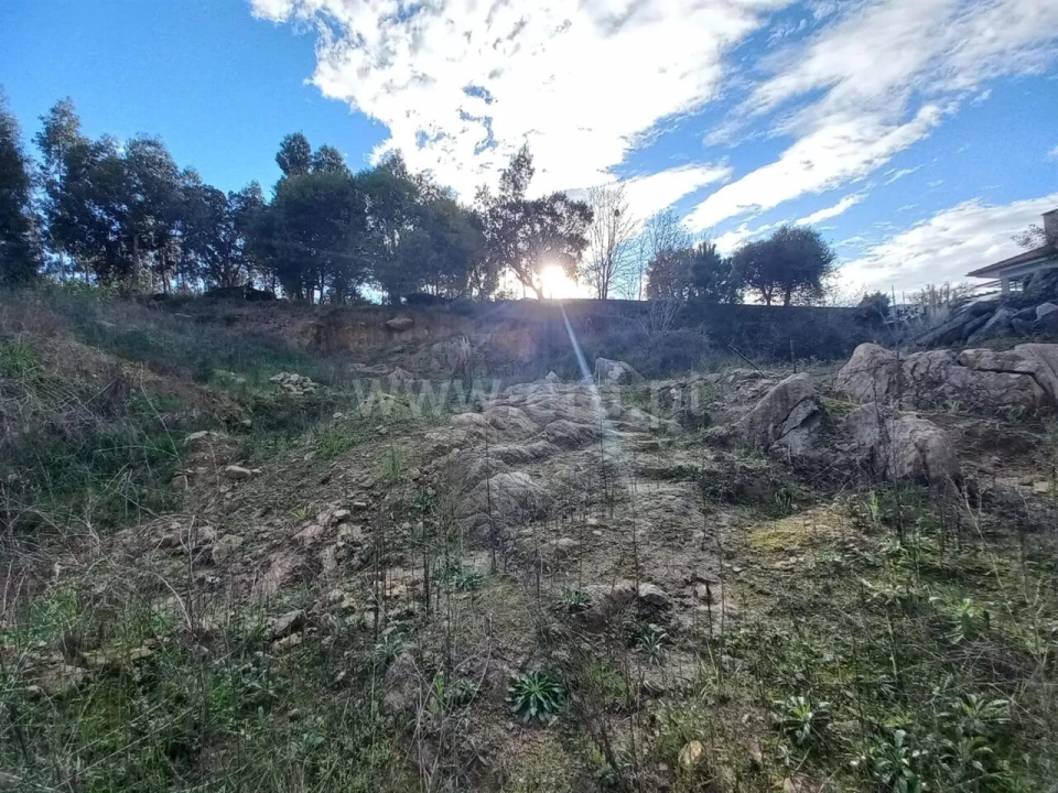 Terreno para Venda em Oliveira do Douro Foto 2