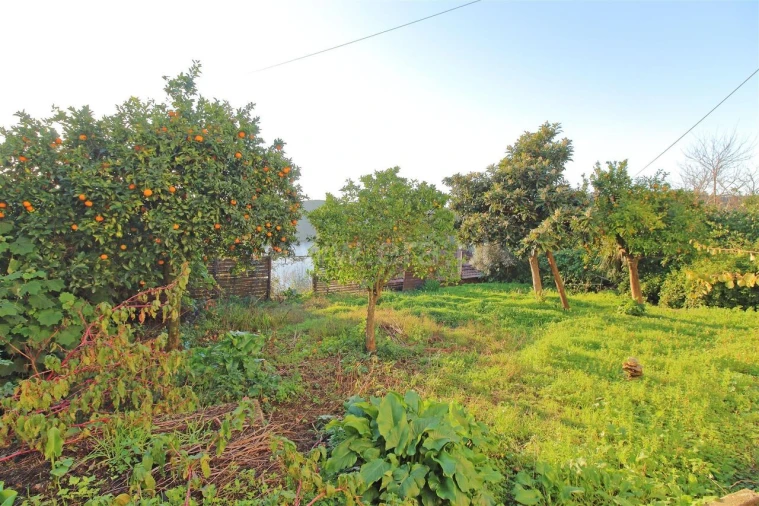 Moradia T4 para Venda em Lomba Foto 20