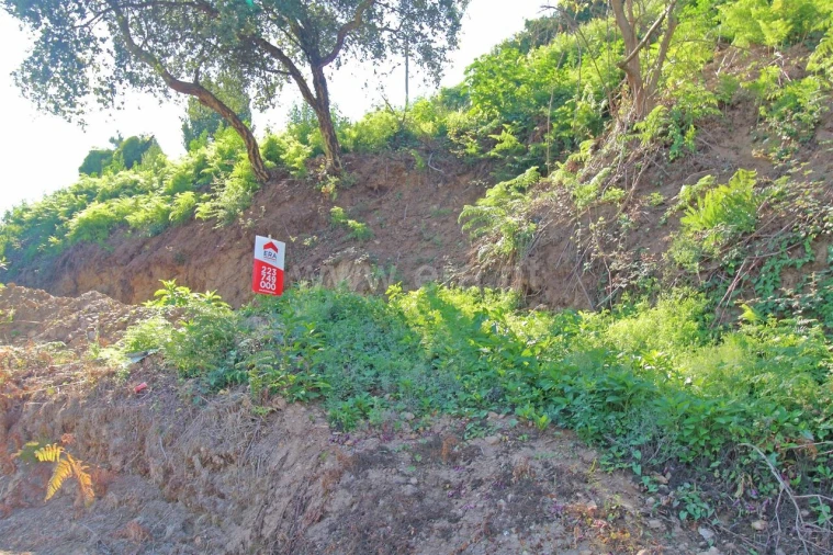 Terreno para Venda em Avintes