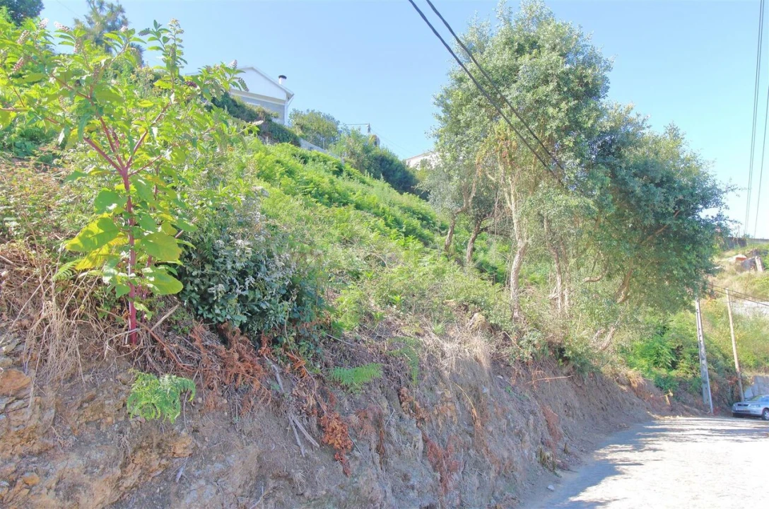 Terreno para Venda em Avintes Foto 5
